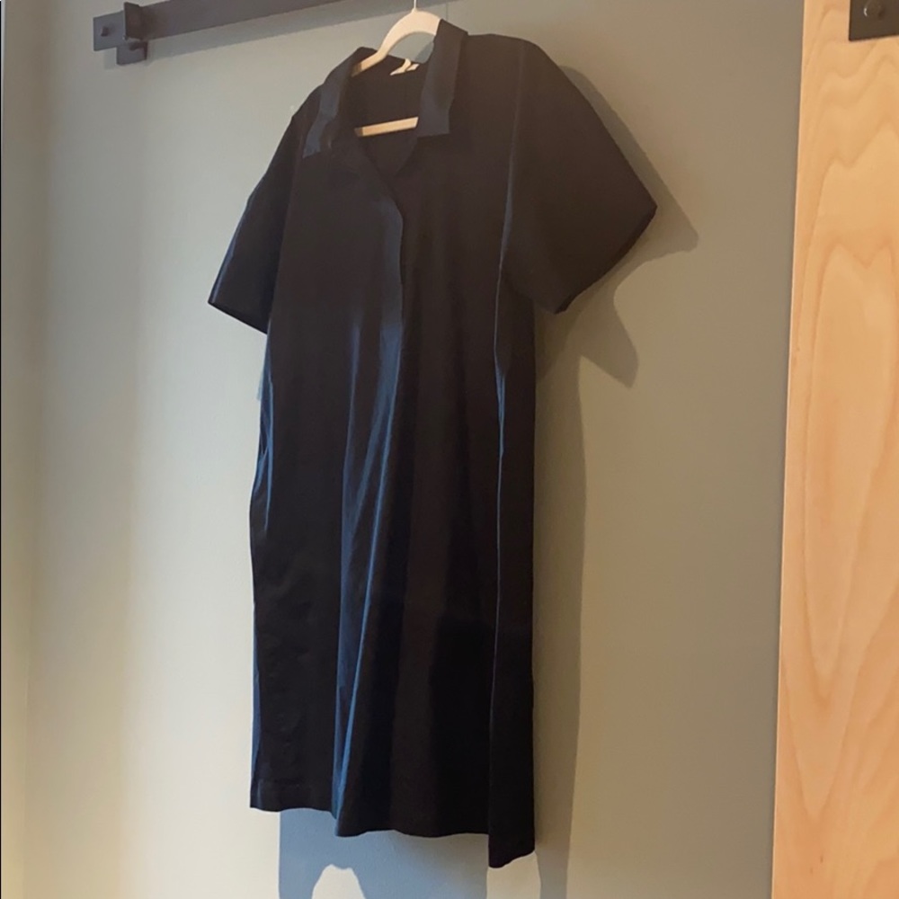 Eileen Fisher Dress/Tunic